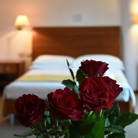Hotel Hg 4*
